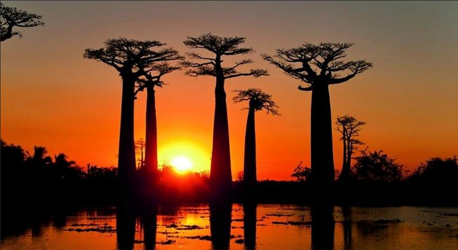 Madagascar: The Road Untouched