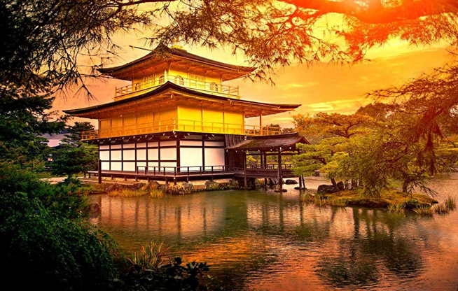 Explore Japan  With  Sailani Tours N Travels Ltd.